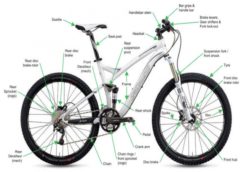 what is mtb cycle